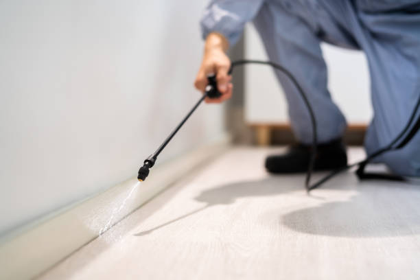 Best Local Pest Control Services  in Warren, OR